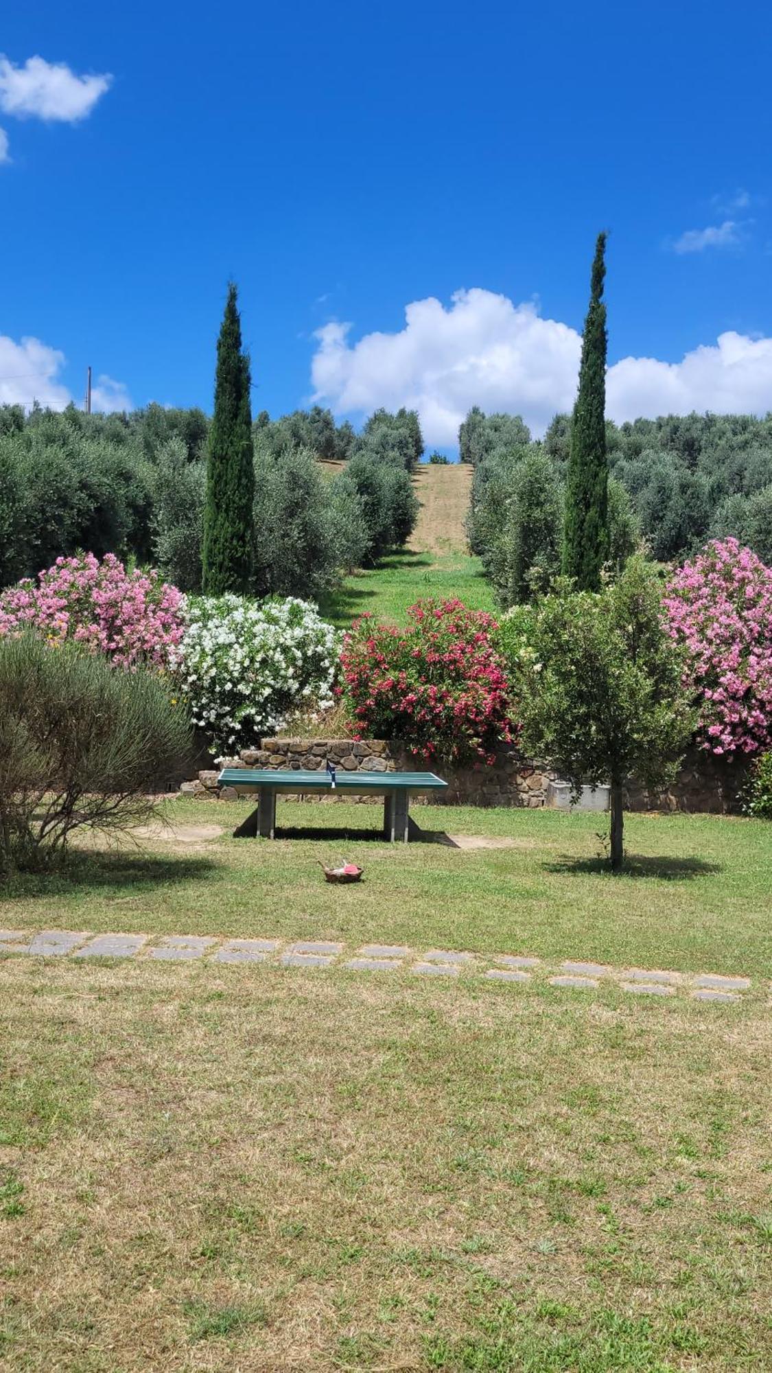 Agriturismo Podere Casalone Limite Luaran gambar